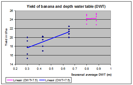Banana and watertable in Surinam
