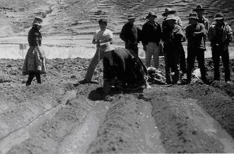 figure andes irrigation