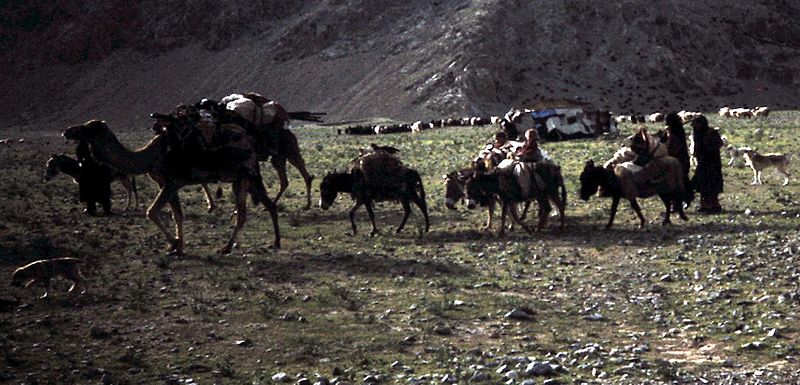 Baluch nomads