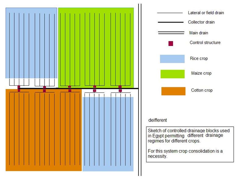 figure furrow irrigation