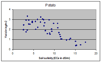 crop yield and soil salinity