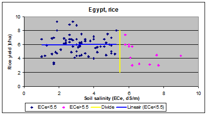 rice (paddy) and
       salinity in Egypt
