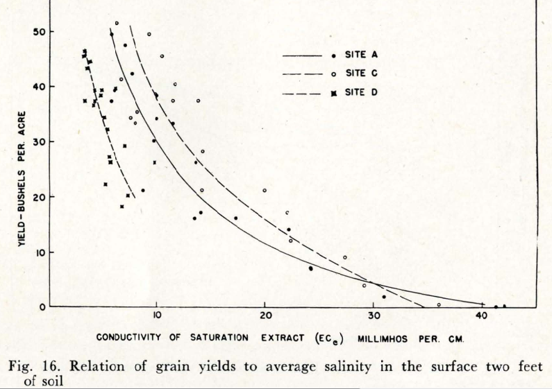 sorghum and salinity in Pakistan